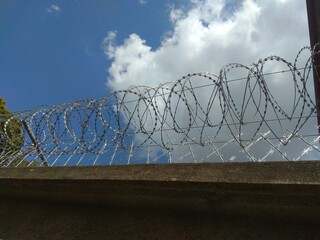 barbed wire fence