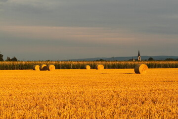 Deep view over a harvested field