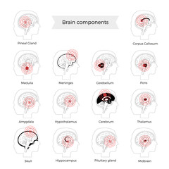 Canvas Print - Pain Brain Illustration