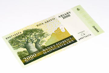 Wall Mural - Currancy banknote of Africa