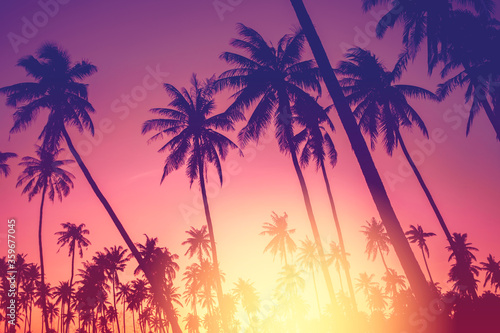 Obrazy zachód słońca  skopiuj-miejsce-z-tropikalnej-palmy-ze-swiatlem-slonecznym-na-tle-nieba