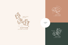 Vector Illustration Cotton Branch - Vintage Engraved Style. Logo Composition In Retro Botanical Style.