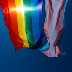 Poster - gay and transgender pride flags waving on the sky