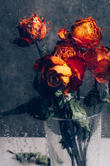 Wall Mural - Dried orange roses. Bunch of beautiful faded flowers through the glass with rain drops. Sad love concept. Copy space, grey background