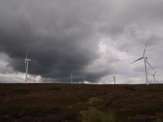 Wall Mural - Wind Farm in Scotland