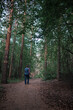 © sun_house_ann - A man walks through the coniferous forest