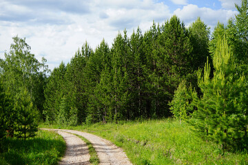 Wall Mural - The road through the forest. Beautiful summer nature landscape with green forest, road and blue sky with clouds.