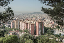 Park Shot Of Barcelona Skyline