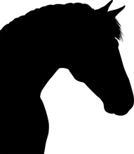 Drawing The Black Silhouette Of A Horse Head On A White Background