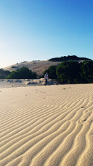 sand dunes on the beach