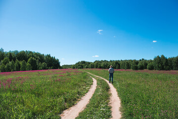 Man walking in the field. Colorful summer landscape with space for text.