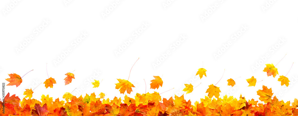 autumn leaves frame isolated on white background Stock Photo | Adobe Stock