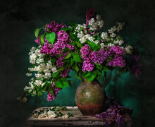 Classic Still Life With Bouquet Of Beautiful White And Purple Lilacss In Old Vintage Jug In A Ray Of Light On Green Background . Art Photography.