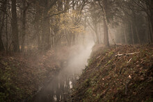 Mysterious Forest Landcape With Fog Above Creek In Autumn In Warm Colors