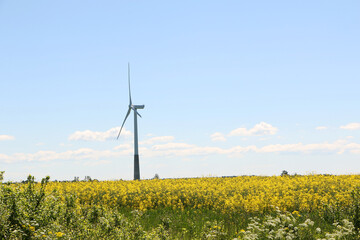 a wind turbine rotates against a blue sky.