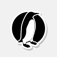 Poster - Penguin sticker icon isolated on gray background