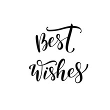 Best Wishes Phrase. Modern Vector Brush Calligraphy. Ink Illustration With Hand-drawn Lettering. 
