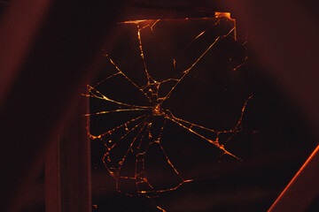 gold web 2