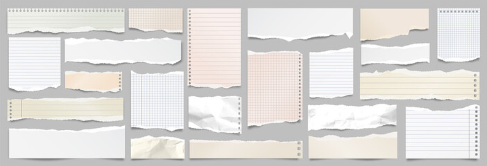 colored ripped lined paper strips collection. realistic paper scraps with torn edges. sticky notes, 