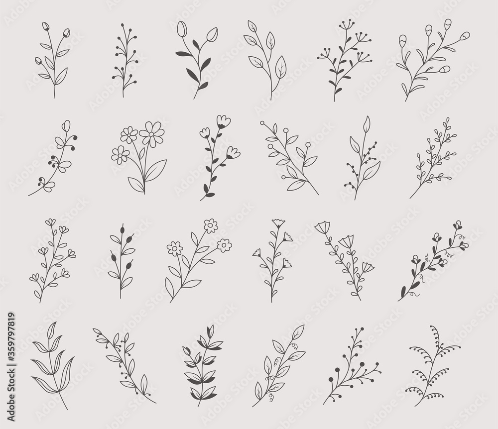 Set of hand drawn flowers, branches and leaves, vector illustration - obrazy, fototapety, plakaty 