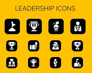 Canvas Print - leadership icon set