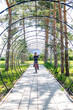 © vitec40 - little cyclist rides through a tunnel in a park