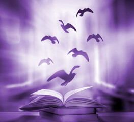 Wall Mural - An abstract fantasy image opens an old book with birds flying out of the book as birds flying to the future with magical magic for academic success. Is a beautiful background