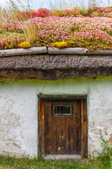 Poster - Door to a cottage with flowering houseleek on the roof