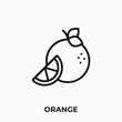 orange icon vector. orange sign symbol