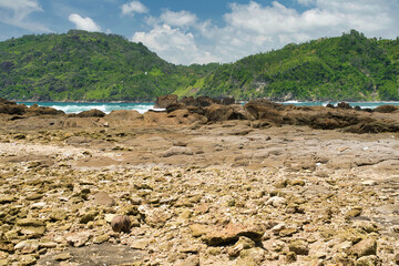 Wall Mural - beach and sea