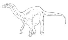 A Dinosaur Like A Diplodocus, Brontosaurus, Supersaurus Or Brachiosaurus Black And White Outline Cartoon Like A Kids Coloring Book Page