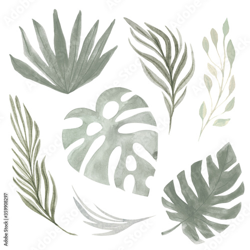 Cuadros en Lienzo Boho Tropical set leaf palm grass Watercolor hand painted natural dried elements