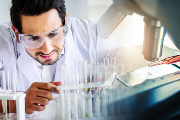 Wall Mural - lab technician assistant analyzing a blood sample service in test tube at laboratory with microscope