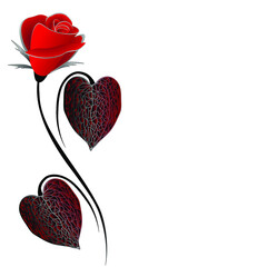 Wall Mural - Red rose with decorative leaves on a white background.