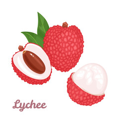 Wall Mural - Lychee fruit set. Whole tropical fruit, half, peeled and green leaves Isolated on a white background. Vector illustration in cartoon flat style.