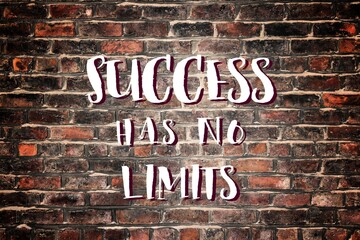 Wall Mural - Success has no limits