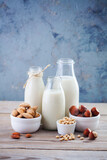 Fototapeta Lawenda - dairy free milk drink and ingredients