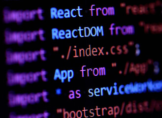 Wall Mural - close-up of react, javascript programming source code
