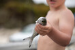 © Caro Telfer/Austockphoto - little kid holding a small herring he caught