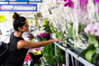 © Gillian Vann/Austockphoto - woman shopping at local market
