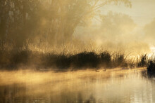 Mist Rising Off Water With Reeds And Ducks