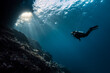 © TONY MYSHLYAEV/Stocksy - Scuba Girl Swimming into Sunlight