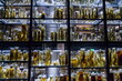 Shelves with various animals preserved in formaldehyde solution