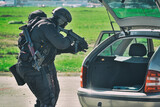 Fototapeta  - Police in action.