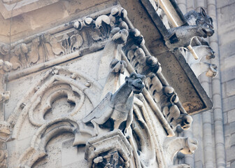 Wall Mural - Gargoyles of Notre Dame Cathedral, Paris, France