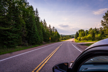 View from rear car window of a Canadian forest and road