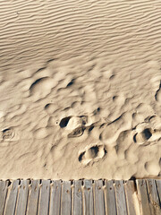 Canvas Print - sand and wood background