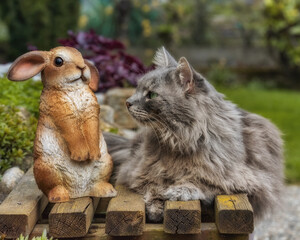 Sticker - Grey longhaired cat communicating with a rabbit