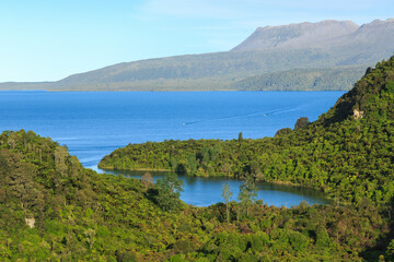 Lake Tarawera, New Zealand. A view of Kotukutuku Bay, surrounded by native forest, with volcanic Mount Tarawera in the background. Two boats can just be seen on the water