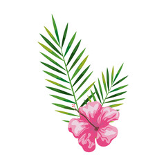 Sticker - hibiscus beautiful pink color with branches and leaves, tropical nature, spring summer botanical vector illustration design